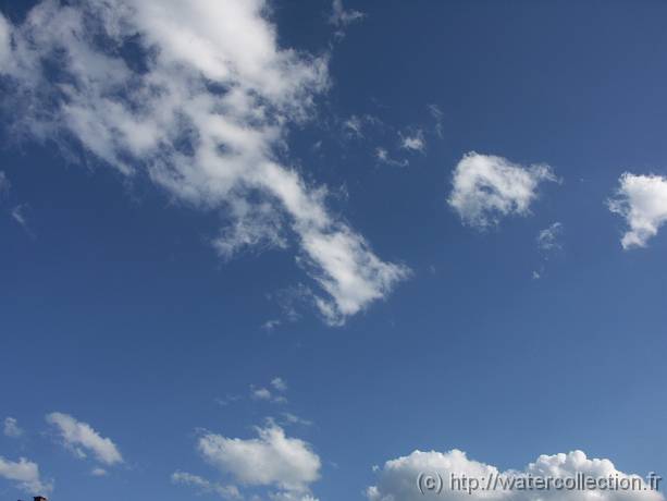 2004-08-20 18-07-20 Nature 28,0mm 1_400_eme F8,0 